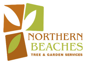 Northern Beaches Tree and Garden