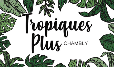 Bronzage Tropiques Plus Chambly