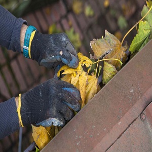 Gutter Cleaners