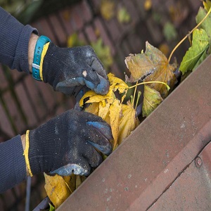 Gutter Cleaners