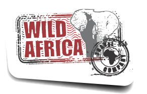 Wild Africa Travel Company