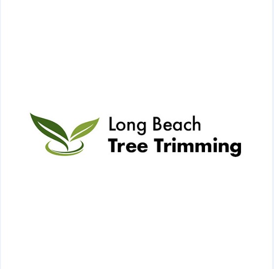 Long Beach Tree Trimming