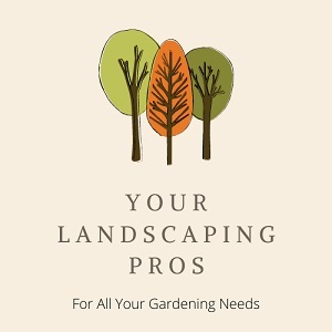 Your Landscape Pros
