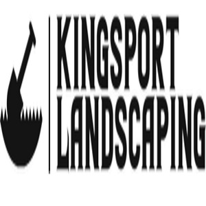 The Expert Kingsport Landscaping company
