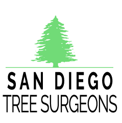 San Diego Tree Surgeons