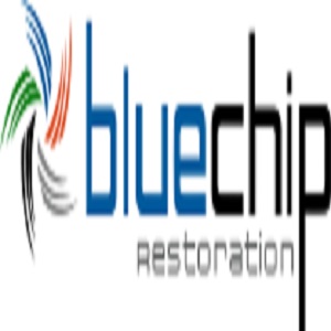 Blue Chip Restoration