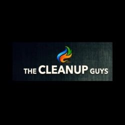 The CleanUP Guys