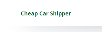 Cheap Car Shipper