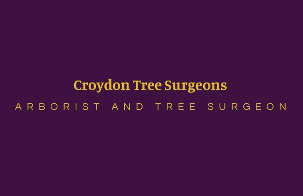 Croydon Tree Surgeons