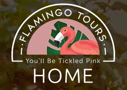 Flamingo Tours