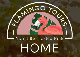Flamingo Tours