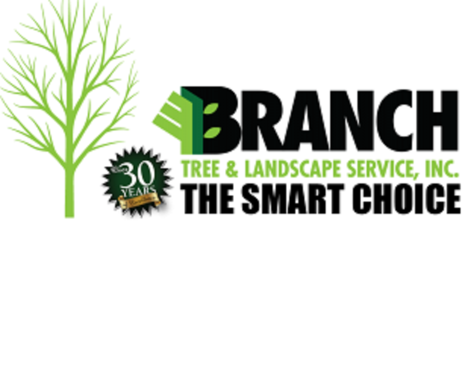 Branch Tree & Landscape Service