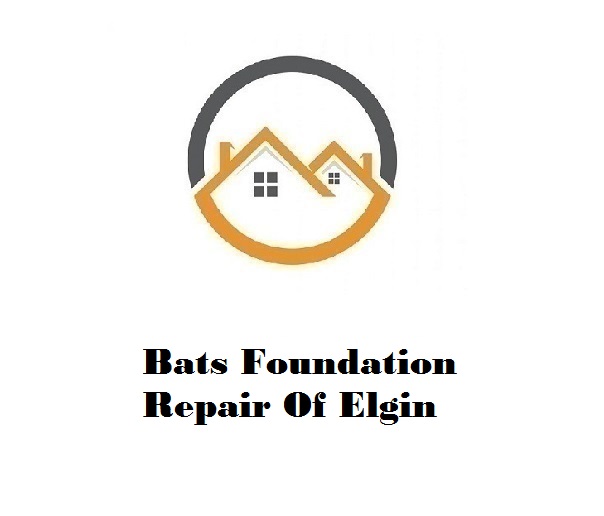 Bats Foundation Repair Of Elgin
