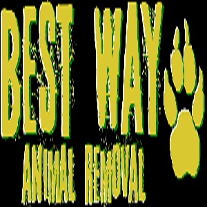 Best Way Animal Removal