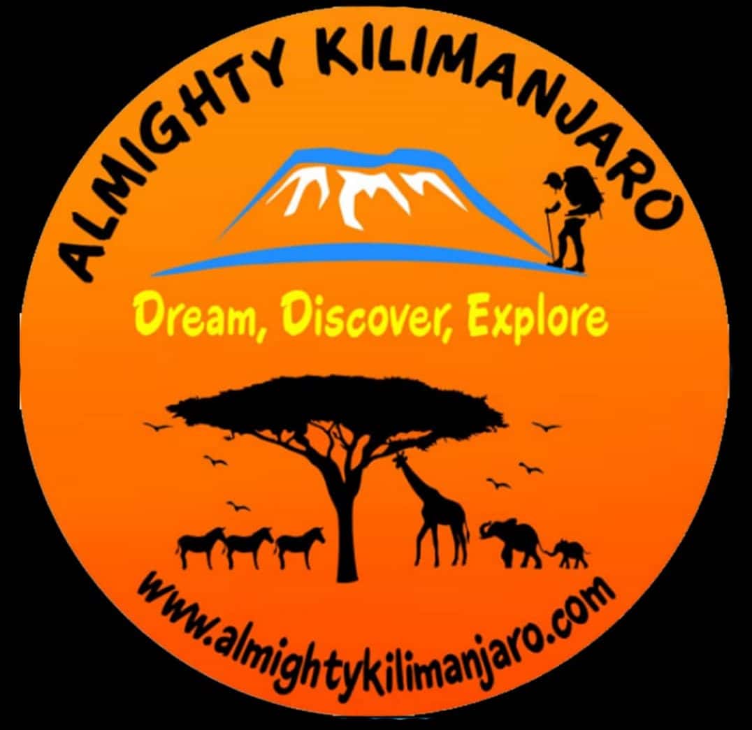 Almightykilimanjaro