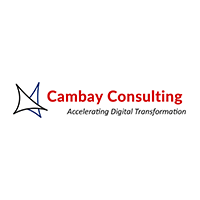 Cambay Consulting, LLC