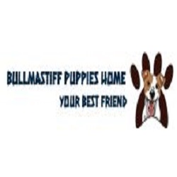 Roberts Bullmastiff Home