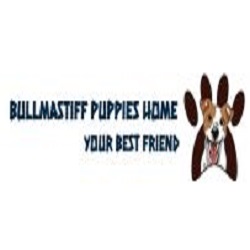 Roberts Bullmastiff Home