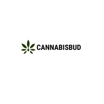 CANNABIS BUD EUROPE