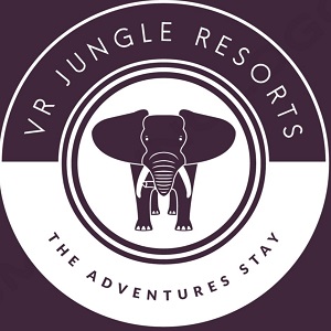 VR Jungle Stay