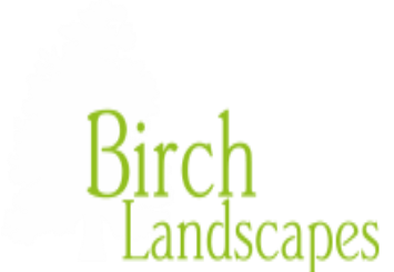 Birch Landscapes