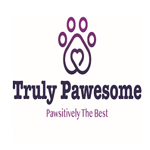 Truly Pawesome - A Dog Walking and Pet Sitting Company