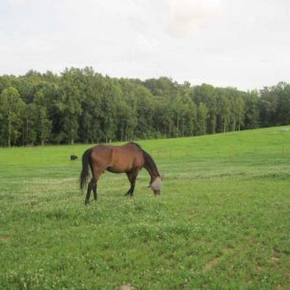 Five Springs Farm