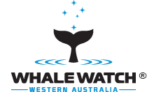 Whale Watch Western Australia