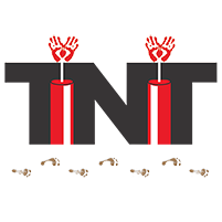 TNT Consulting Firm LLC