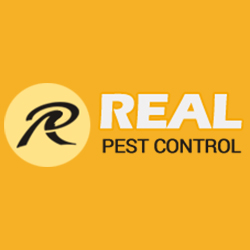 Real Cockroach Control Adelaide