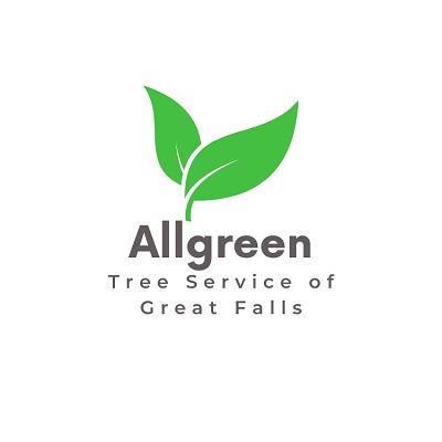 Allgreen Tree Service Great Falls