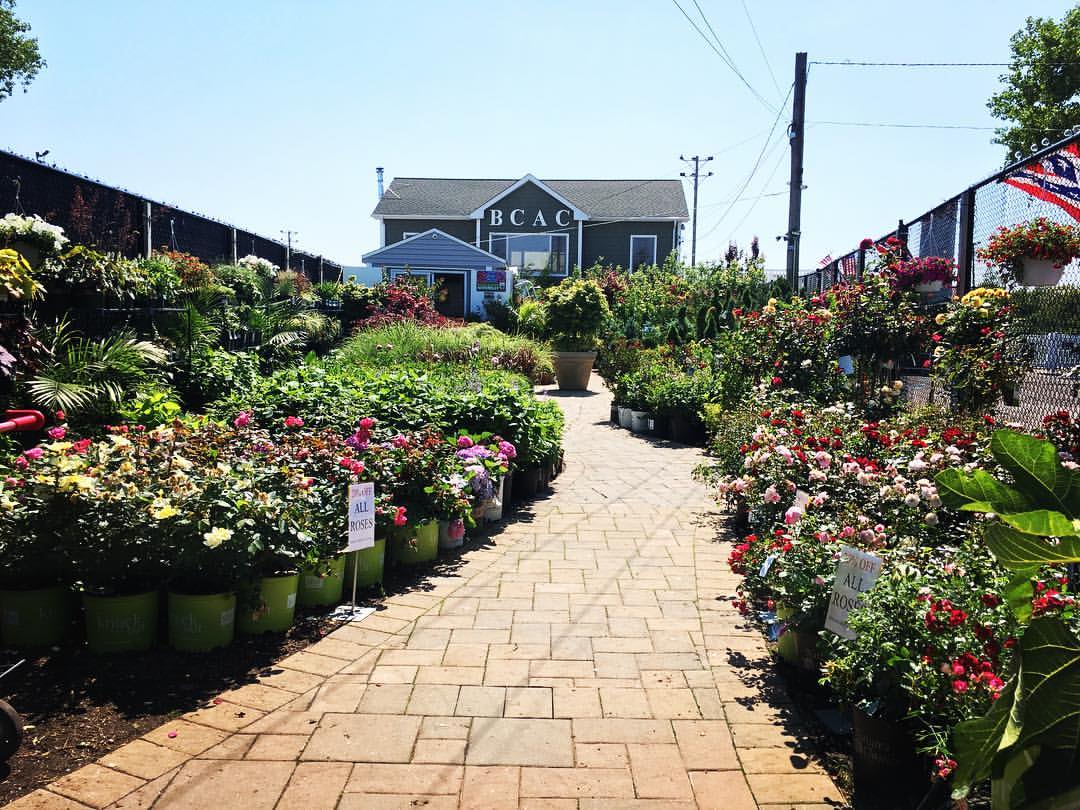 Lisena Garden Center & Nursery