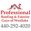 Professional Roofing & Exterior Guys of Westlake