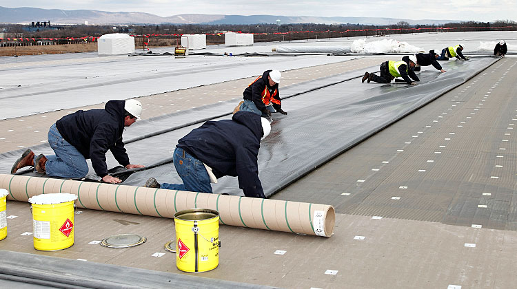 Nex Level Roofing