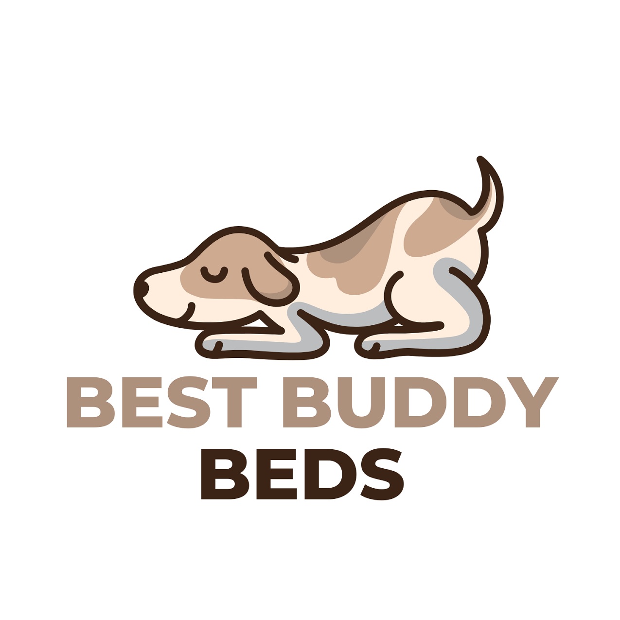 Best Buddy Beds