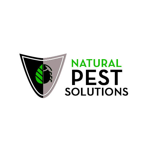 Natural Pest Solutions San Tan Valley