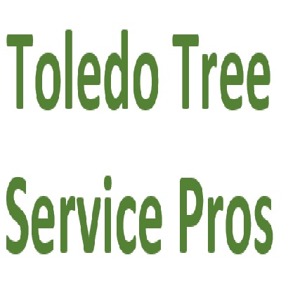 Toledo Tree Service Pros