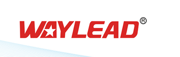 Cixi Waylead Electric Motor Manufacturing Co.,Ltd