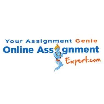 Online Assignment Expert