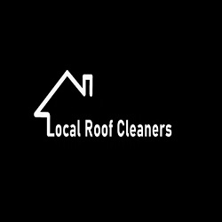 Roof Cleaners in Devon