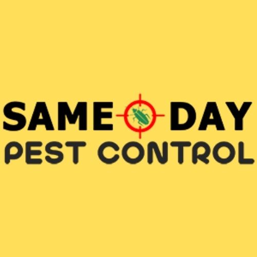 Pest Control Brisbane