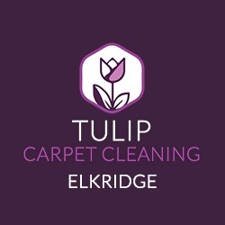 Tulip Carpet Cleaning Elkridge