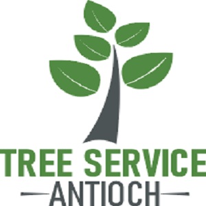 Tree Service Antioch