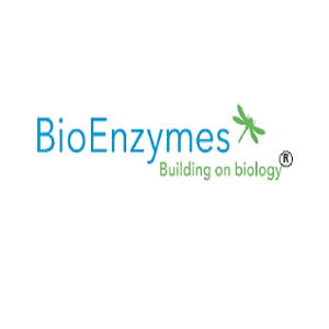 Bio Enzymes