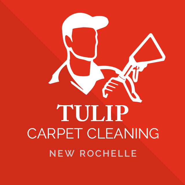 Tulip Carpet Cleaning Port Washington