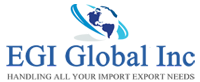 EGI Global Inc.