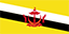 Brunei flag