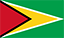 Business in Guyana