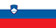 Slovenia flag