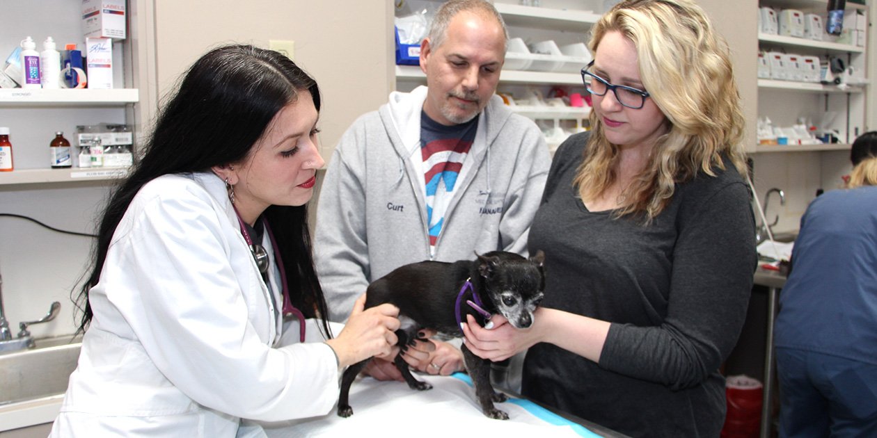 Veterinary Clinic Everett WA